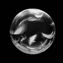 18 inch Printed White Feather Bubble Balloons