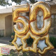 48 inch Linky Star Gold Foil Balloons