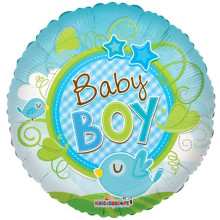 18 inch BABY BOY BIRD CLEAR VIEW 18 inch BABY BOY BIRD CLEAR VIEW