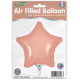9 inch Rose Gold Star Packaged x 5pcs foil balloon 9 inch Rose Gold Star Packaged x 5pcs foil balloon
