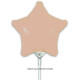 9 inch Matte Nude Star Packaged x 5pcs foil balloon 9 inch Matte Nude Star Packaged x 5pcs foil balloon