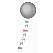 HE OR SHE LT. BLUE, SILVER & LT. PINK.