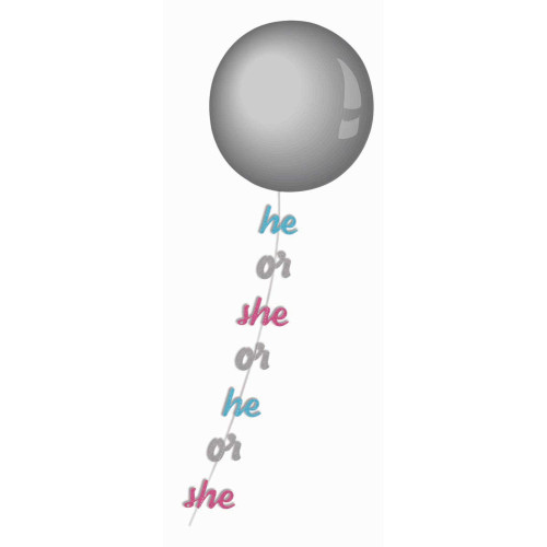 HE OR SHE LT. BLUE, SILVER & LT. PINK.