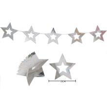 Silver Stars banner