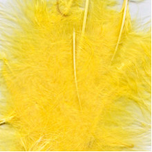 Eleganza Craft Marabout Feathers Mixed sizes 3"-8" 8g bag Yellow Eleganza Craft Marabout Feathers Mixed sizes 3"-8" 8g bag Yellow