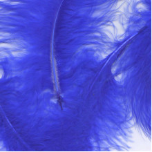 Eleganza Craft Marabout Feathers Mixed sizes 3"-8g bag Royal Blue Eleganza Craft Marabout Feathers Mixed sizes 3"-8g bag Royal Blue