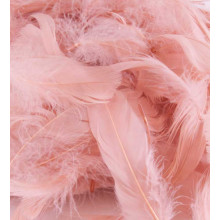 Eleganza Feathers Mixed sizes 3inch-5inch 50g bag Rose Gold