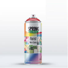 Florist Deco Spray Paint 400 ml - Tangerine